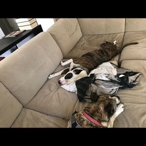 Meet your Posher, Joseph